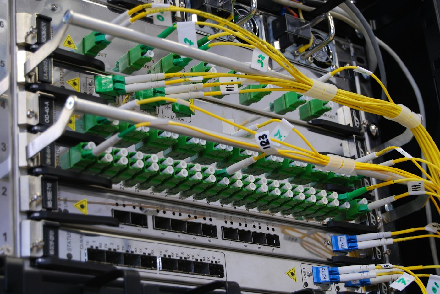 Câbles de fibre optique branchés sur un switch réseau dans une baie